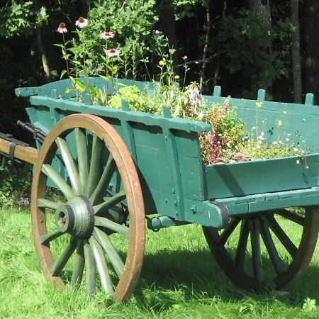 Camping La Vallee Verte Ambert Dış mekan fotoğraf
