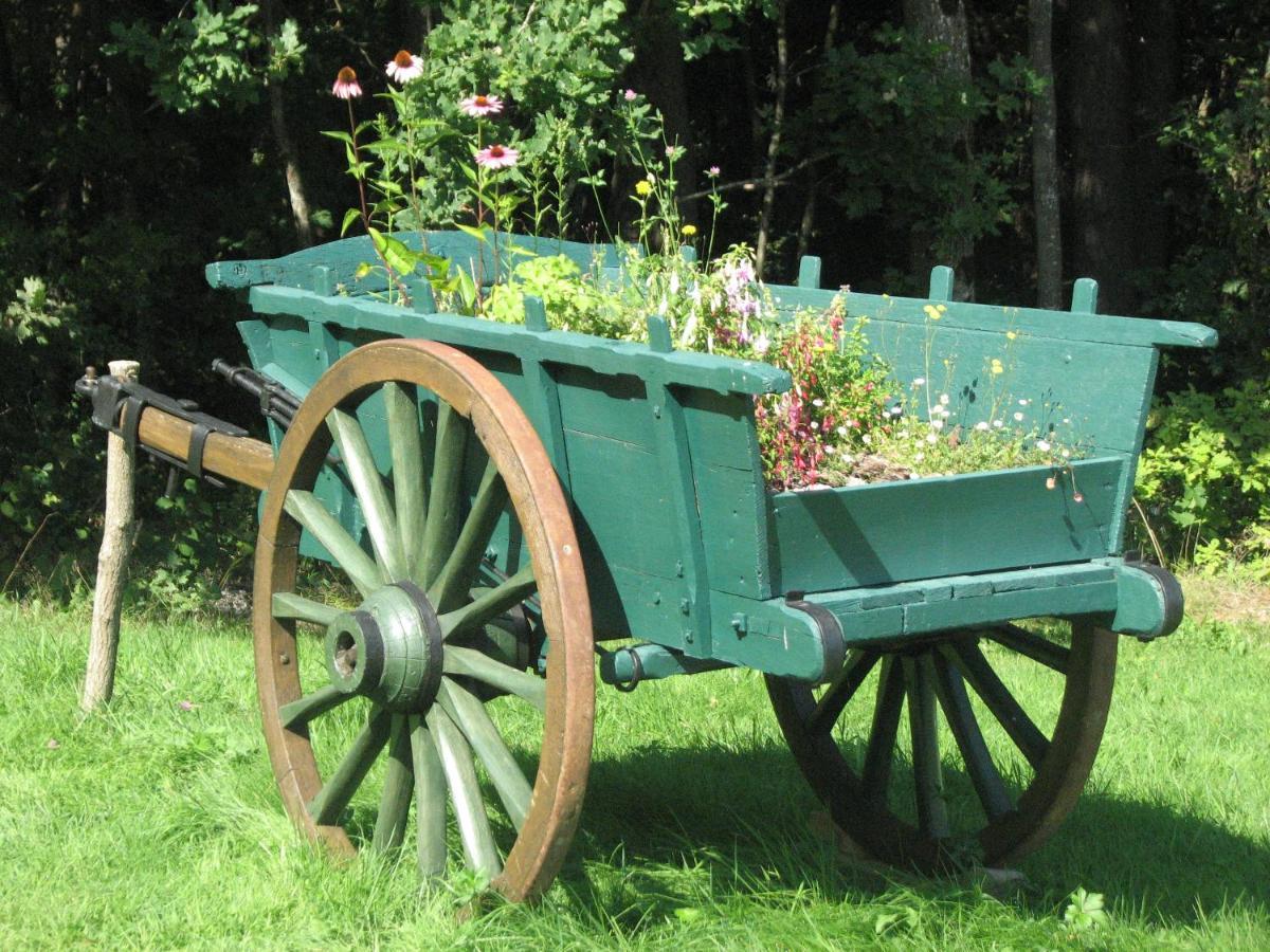 Camping La Vallee Verte Ambert Dış mekan fotoğraf