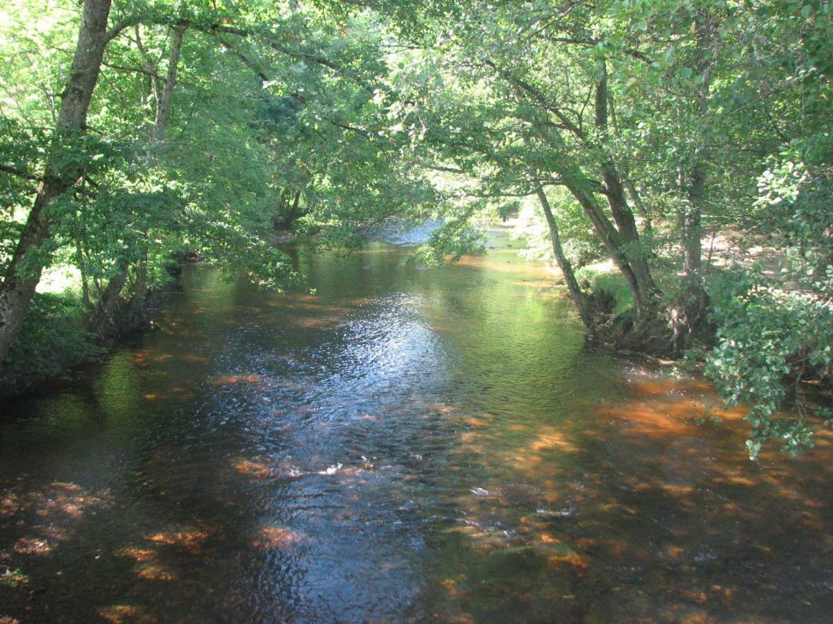 Camping La Vallee Verte Ambert Dış mekan fotoğraf